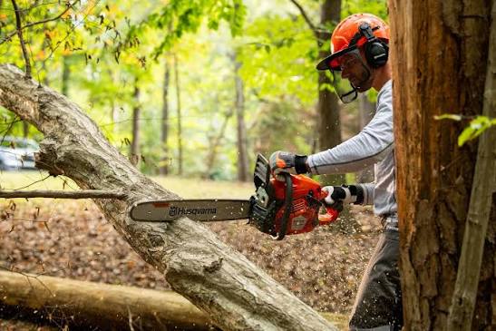 Forestry