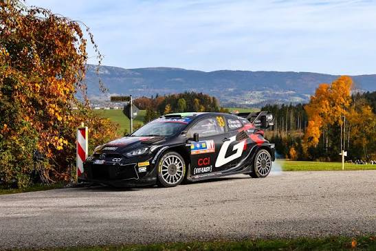 Rally